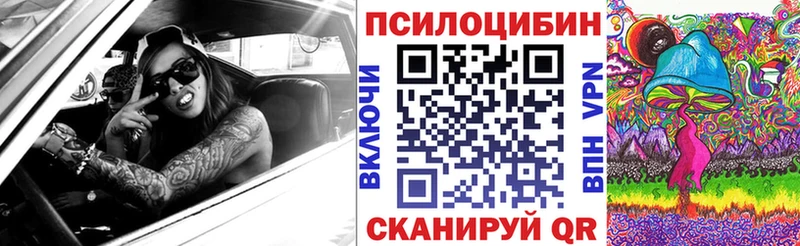 Псилоцибиновые грибы Psilocybe  Усть-Джегута 