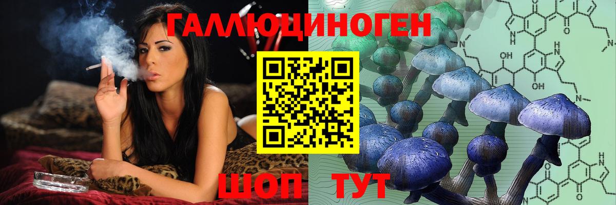 Галлюциногенные грибы Psilocybine cubensis Усть-Джегута