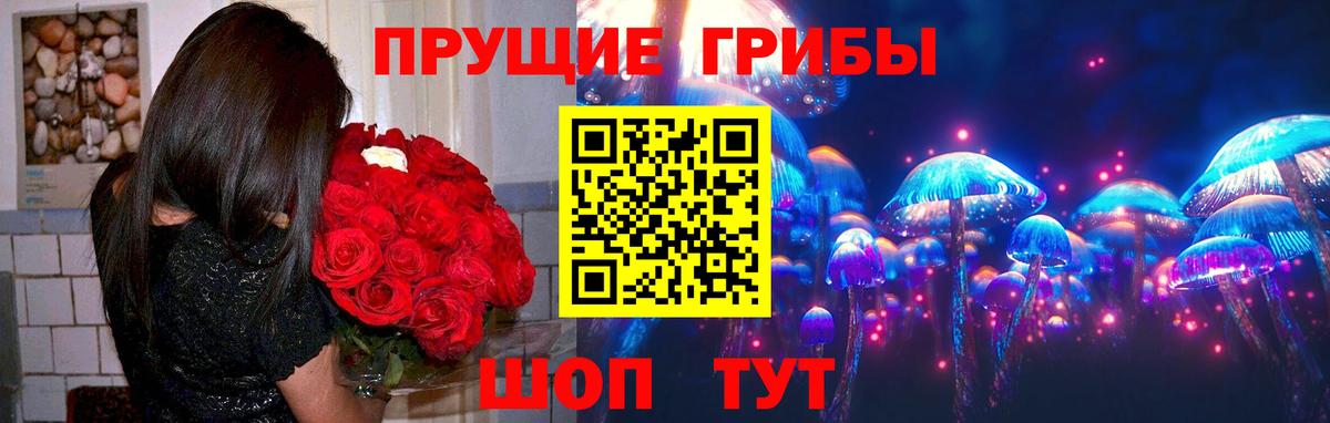 где продают наркотики  Галлюциногенные грибы мухоморы  Вход с VPN  Усть-Джегута 